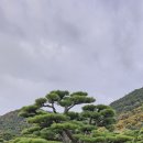 리쓰린공원 이미지