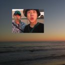 웰비스투어