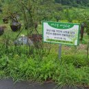 문성농장 이미지