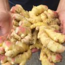 영호네농장 이미지