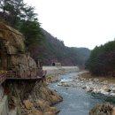 세평삼거리 이미지