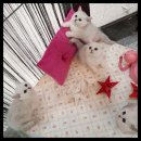 남구-037 이미지