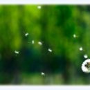 cafe 바람구름 이미지