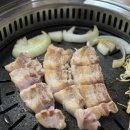 메밀꽃돼지
