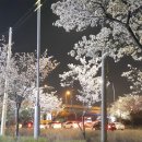 신세대다육