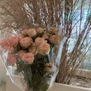 60맨션 경산 이미지