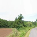 동광리-2 이미지