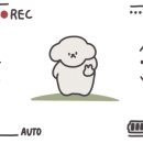 오동도 바람골 이미지