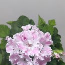 모프 - 용산구 두텁바위로1길 36 | 모프