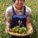 산양삼치유농원