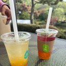 송산목장 티스토리