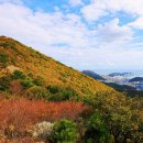 3.24㎞의 숲길, 드디어 개장”… 등산 애호가라면 필수인 ‘자연명소’ 2곳 이미지