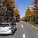 고원목장(2) 이미지