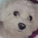 계양메디칼센터 이미지