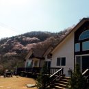 문경사계민박 네이버블로그
