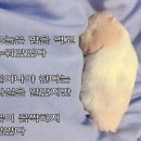 5월이 다 가고 있어