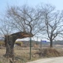 입석2구 이미지