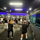 메이져복싱 용암점 이미지