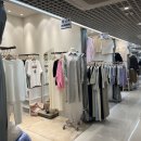 평화제일 이미지