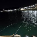 돌체경양식 이미지