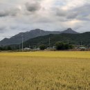 예동마을회관 이미지