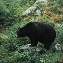 용인농장 이미지