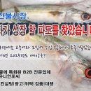 2024년 11월 누적 주요 국가별 월간 수산물 수입현황 이미지