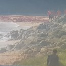 한섬해변 이미지