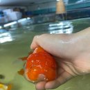 봉달PC 네이버블로그