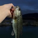 왕숙천 자전거도로6 이미지