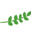 단, 하루베이킹