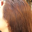헤어결(Hair결)
