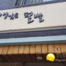 개님은 털빨 이미지