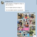 두두대행