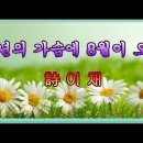 중년의 가슴에 8월이 오면~ 이채 이미지