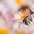 문화할아버지경로당 이미지