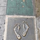 엔터테이너 거리 이미지