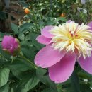 가온농장2 이미지