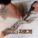 백종원 참쉬운 오징어 손질법....첫번째 이미지