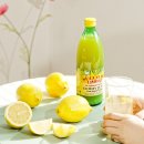 매일푸드 | 🍋 다이어트 때문에 시작했는데 지금은 매일 찾는 유로푸드 레몬즙 솔직후기｜레몬워터 활용법까지