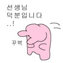 써티올테니스 이미지