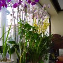 이종훈 서예 이미지