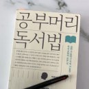 숲속다예린유치원 | 춘천 후평숲속유치원 후기🌳