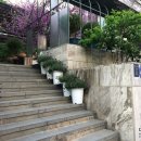 학동 애견 이미지