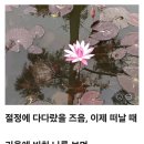 제49강 ＜디카시 새로운 시의 시대를 연다＞ 이상옥 교수 이미지