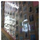 개털깎는집 이미지