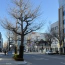 메디팜동아약국 이미지