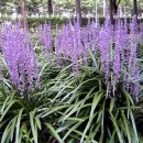 선안요양병원 이미지