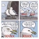 투투모텔 | 2024년 시작 🎉