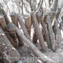 구례산동중학교 | 구례 깃대봉~천마산~견두산